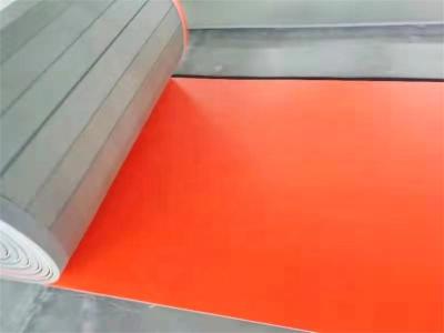 China 2CM 3CM Thick Professional GYM Floor Mats Mildew Proof Bjj Floor Mat for sale