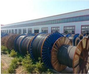 Verified China supplier - Xilong cable Co.,Ltd.