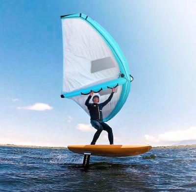 China Weather Proof Inflatable Surf Wing Windsurfing Wing Medium Size for sale