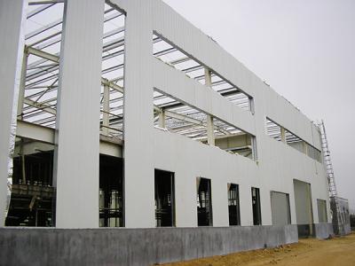 China Edificio de estructura de acero de tamaño personalizado con alta capacidad de carga en venta