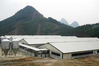 中国 XGZ 鋼筋構造 鶏屋 サイズと配置をカスタマイズ 販売のため