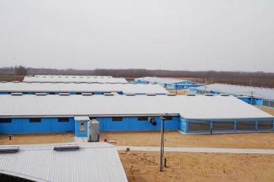 China Galvanized Steel Structure Poultry House GB Standard for sale