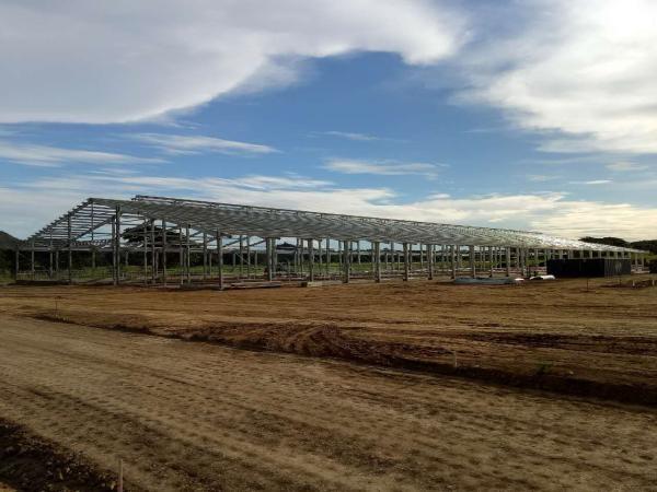 Quality Quick Installed Steel Structure Workshop Building With steel Frame construction for sale