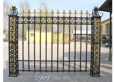 China Cast iron fence G1307 for sale