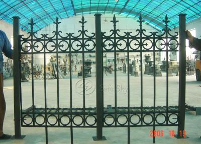 China Cast iron fence G1317 for sale