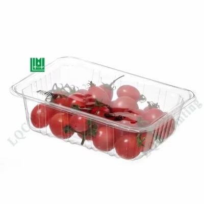 China Transparent PET Heat Sealing Film Roll For Cup Container Sealing à venda