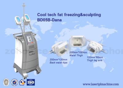 China 3 Size handles cryolipolysis cool slim body sculpting equipment / criolipolisys machine for sale