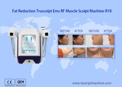 China 2mhz Rf Beauty Equipment Cellulite Reduction Muscle Building for sale