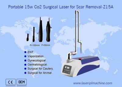 Chine Machine chirurgicale de retrait de cicatrice de peau de laser du CO2 10600nm portatif pour des animaux familiers à vendre