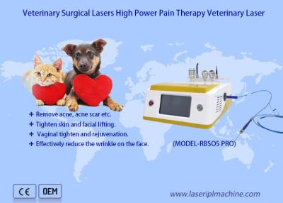 China os animais de estimação do laser do diodo 980nm causam dor ao dispositivo veterinário cirúrgico do laser da terapia do laser da recuperação à venda
