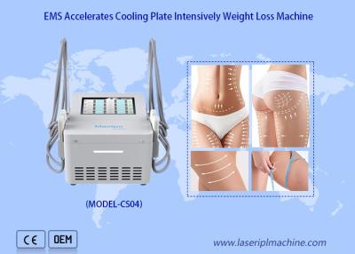 China Ems Fat Reduce Cryo Plate Machine With 4 Cooling Pads for sale
