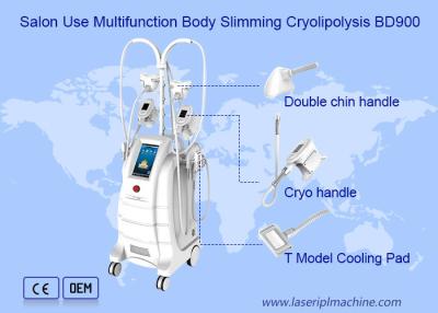 China Weight Loss Cryolipolysis Slimming Machine Fat Freezing Liposuction 80kpa for sale