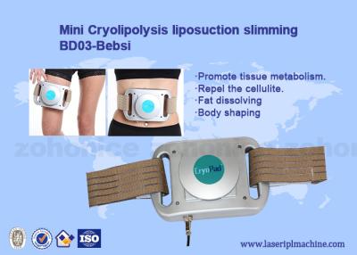 中国 使用美装置Cryolipolysisの小型家の氷結の脂肪質のパッド機械Cryotherapy機械 販売のため