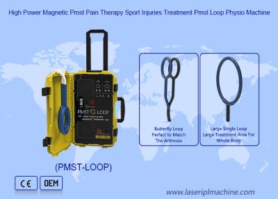 China Double Loop PMST Neo Physical Magnetotherapy Pain Relief Machine à venda