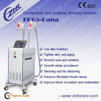 China Professional Cryolipolysis Slimming Machine Weight Loss Beauty Equipment for sale