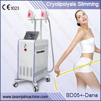 China Fat Freezing Cryolipolysis Slimming Machine With Two Handles and Touch screen for sale