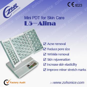 China Mini PDT Skin Rejuvenation Machine Acne Removal And Wrinkle Removal for sale