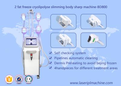 Chine Corps Cryolipolysis de forme amincissant la machine, équipement de beauté de Lipo Cryo Cryolipolysis à vendre