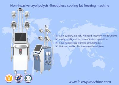 China Pérdida de congelación gorda de Cryolipolysis que adelgaza la máquina del Rf de la cavitación del vacío de la máquina en venta