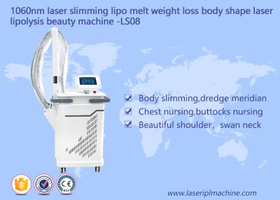 China Cuerpo de la cavitación de la pérdida de peso que adelgaza el cuerpo de máquina que forma la máquina de la belleza de la lipolisis en venta