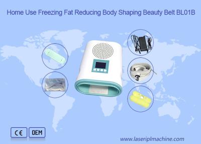 China Home Use 12V Fat Loss Cryolipolysis Slimming Machine for sale