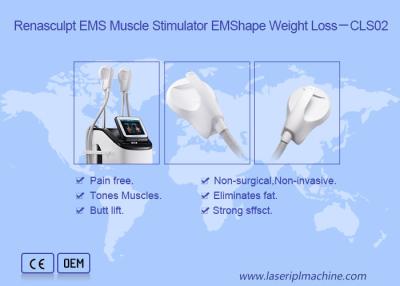 China 2.3KVA Body Slimming 220v 300µS EMS Muscle Stimulator for sale