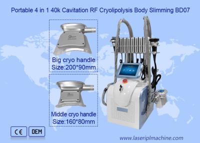 China 2 manija 650nm 1mhz Cryolipolysis que adelgaza la máquina en venta