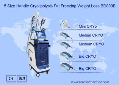 China Doble vertical Chin Cryolipolysis Slimming Machine de 360 ángulos en venta