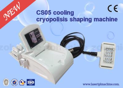 China Multifunctional Cooling Cryolipolysis Body Slimming Machine For Beauty Salon for sale