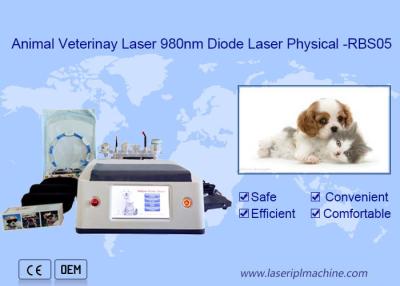 China Animal Use Portable 980nm Diode Laser Machine White Multifunctional Function for sale