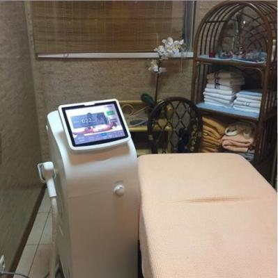 China Máquinas livres da remoção do cabelo do laser da dor profissional do diodo para o centro da beleza à venda