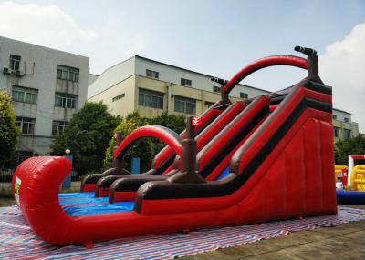 China Silk Printing Large Pirate Inflatable Slip Slide For Backyard Activities for sale