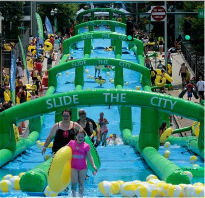 Китай Customized Commercial Extra long slide PVC inflatable water slide for adult продается