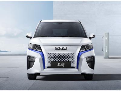 China 2 Seats All Electric MPV 276km Long Mileage EV Minivan for sale