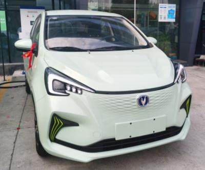 China Escala do automóvel de passageiros 310km da estrela mini EV de Changan Benben E à venda