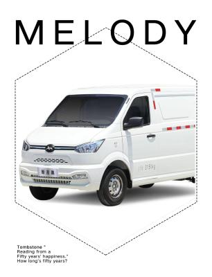 China distribuidor o 4865mm comprimento Electric Cargo Van com USB Interface EV caminhão com interface de carregamento rápido à venda