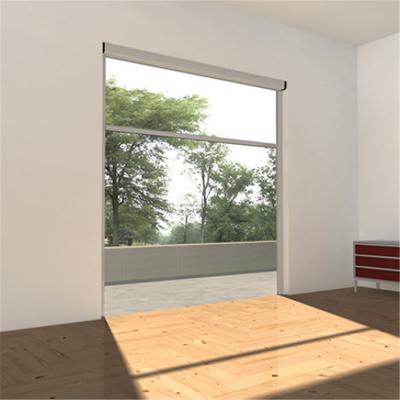 China Removable washing elasticity adjustable roll-up fly screen window for sale