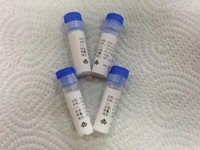 China Goat anti - malaria HRPII Polyclonal Antibody Infectious Disease for Pharmaceutical for sale