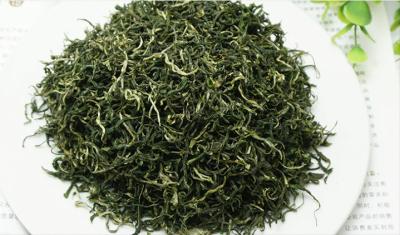 China Ming pre - alpine green tea maojian strong chestnut flavor of the ancient zhang maojian tea for sale