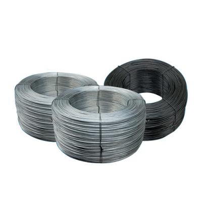 China Affordable B2B Product 	Carbon Steel Wire for Your Business Needs in China for sale