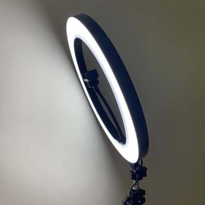 China SMD2835 20W 14inch Dimmable LED Ring Light for sale