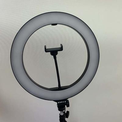 China Makeup 36W DC15V 19 Inch Dimmable LED Ring Light for sale