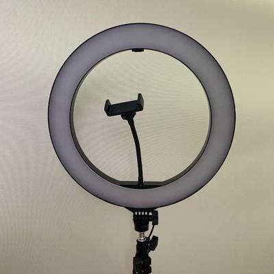 China Dimmable 3000K 5W 6 Inch LED Ring Light for sale