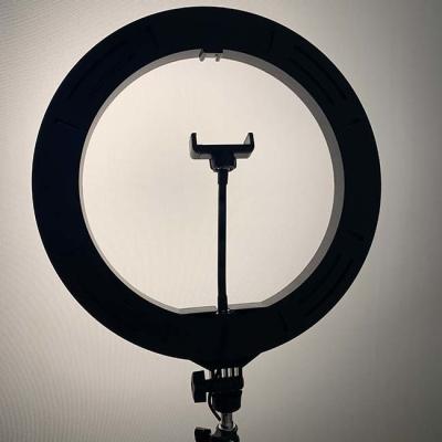 China Live Stream 9W 8 Inch Selfie Ring Light for sale