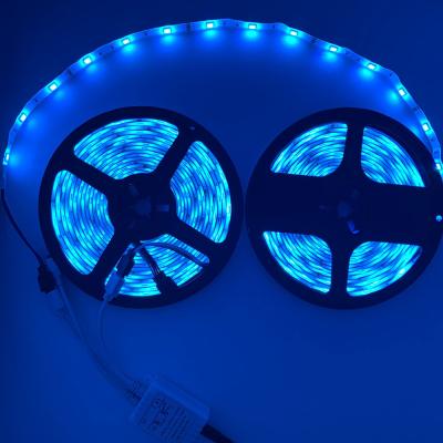 China IP20 72W 10M RGB LED Strip Lights With Remote for sale