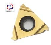China Carbide Thread Cutting Inserts T11ERAG60  wear proof for various types of Buyers for sale