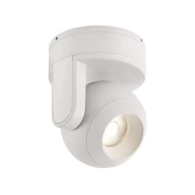 China AC110-265V Ceiling Surface Mounted Downlight , Rotatable Led Downlight D80xH100mm for sale