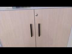 Slim Edge 5mm Swing Door Cabinet Double Layers Plate Steel Office Cabinet