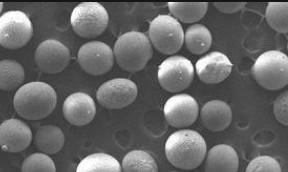 China Densidade cerâmica esférica usada de moldação da partícula 1.95~2.051g/cm3 da areia à venda