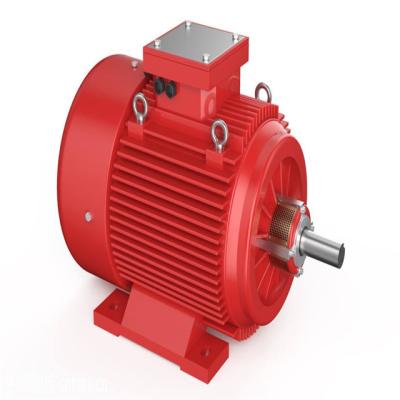 China Waterproof Three Phase 50 60HZ Mill Crusher Electric Motor Mining Machine Spare Parts for sale